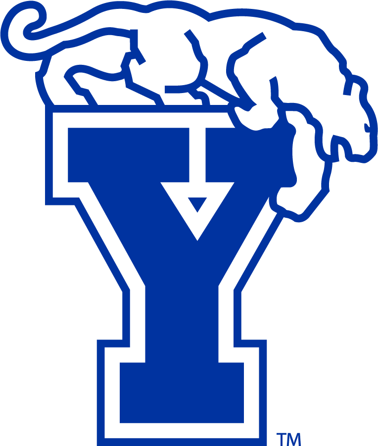 Brigham Young Cougars 1982-1999 Secondary Logo iron on transfers for clothing